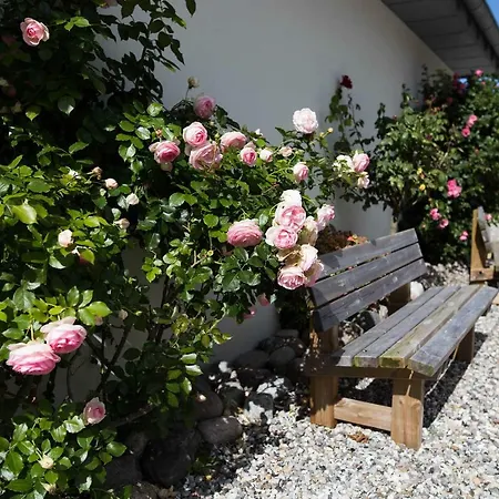 Ostseehotel Hunhoi *